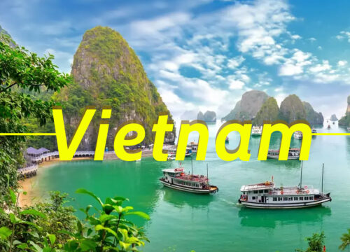 Vietnam Delight