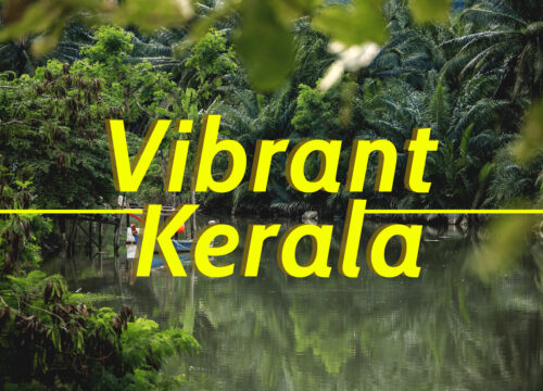 Vibrant Kerala