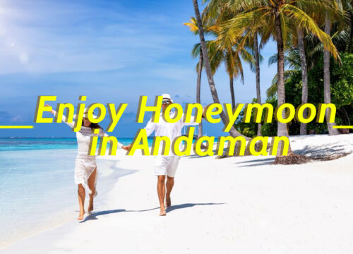 Enjoy Honeymoon in Andaman